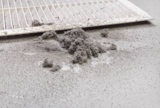 Best Residential Air Duct Cleaning  in Parkersburg, WV